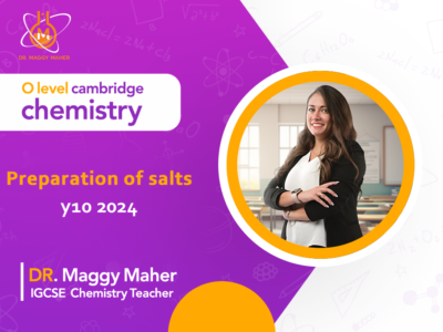 Preparation of salts y10 2024